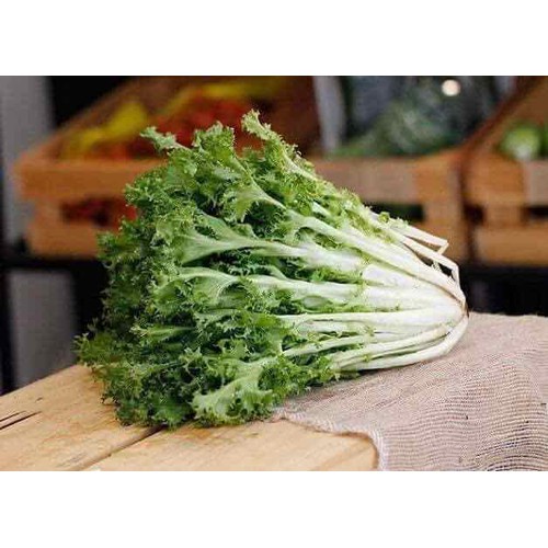Phân bón Rong Biển Minro (VIF – One) - 250ml- seaweed