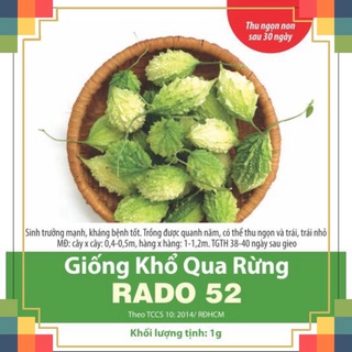 Hạt Giống Khổ Qua Rừng 52