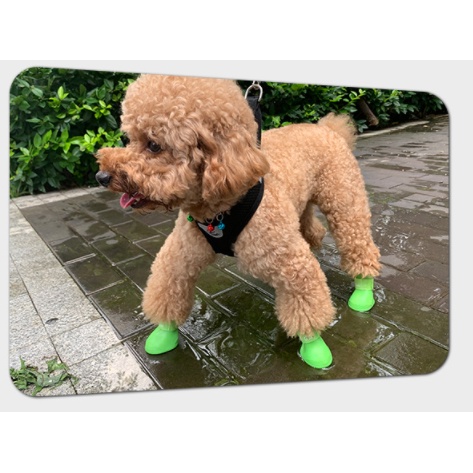 [𝐂𝐎𝐌𝐁𝐎 𝐒𝐀𝐋𝐄] Hipidog giầy ủng chống nước đi mưa cho chó mèo/ Boots shoe waterproof