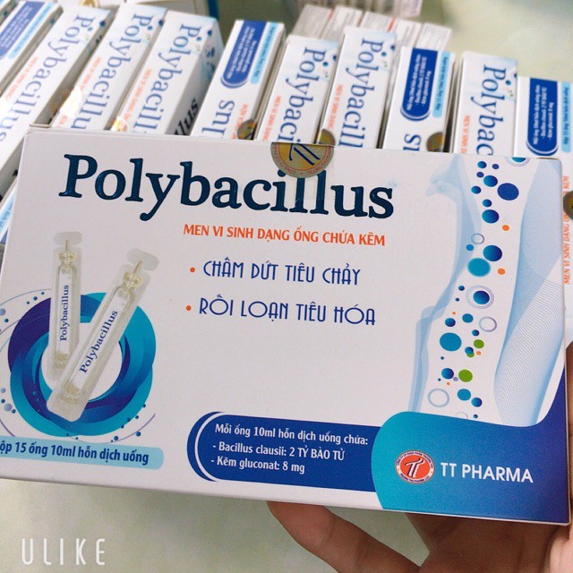 Men vi sinh Polybacillus – Hỗ trợ bổ sung lợi khuẩn, giảm rối loạn tiêu hóa, khó tiêu, chướng bụng (15 ống 10ml)