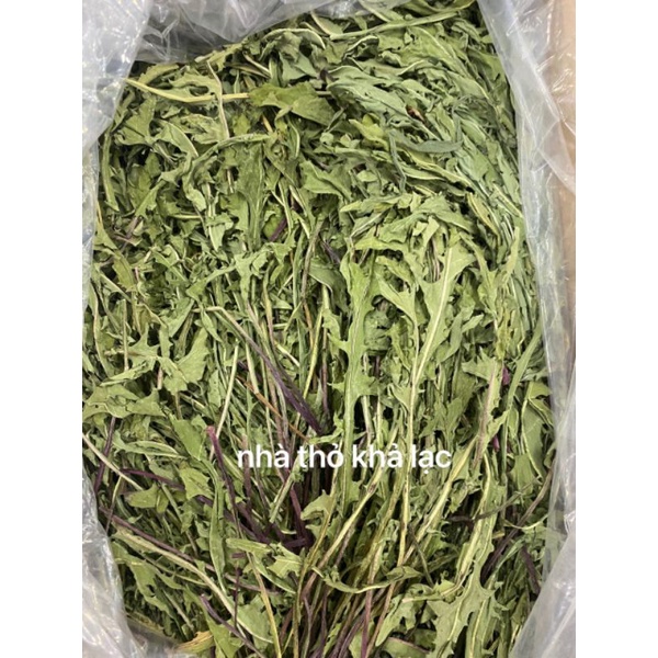 Cỏ Bồ Công Anh Sấy Lạnh Giòn Ngon Cho Thỏ - Bọ - Sóc Bắc Mỹ - Chinchilla