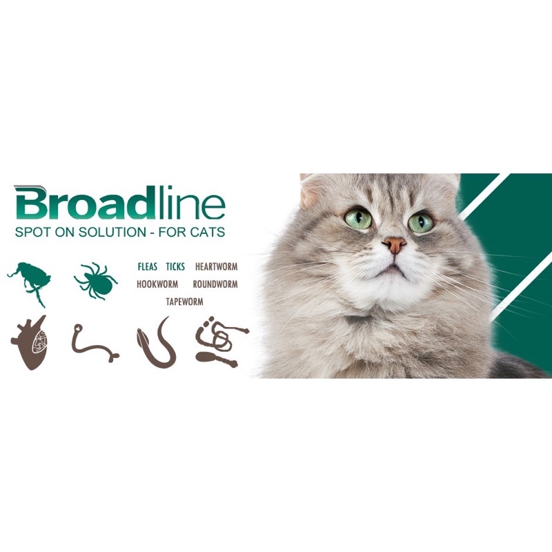 BROADLINE THUỐC NGỎ GÁY CHO MÈO PHÒNG DIỆT NỘI NGOẠI KÍ SINH TRÙNG (1tuýp)