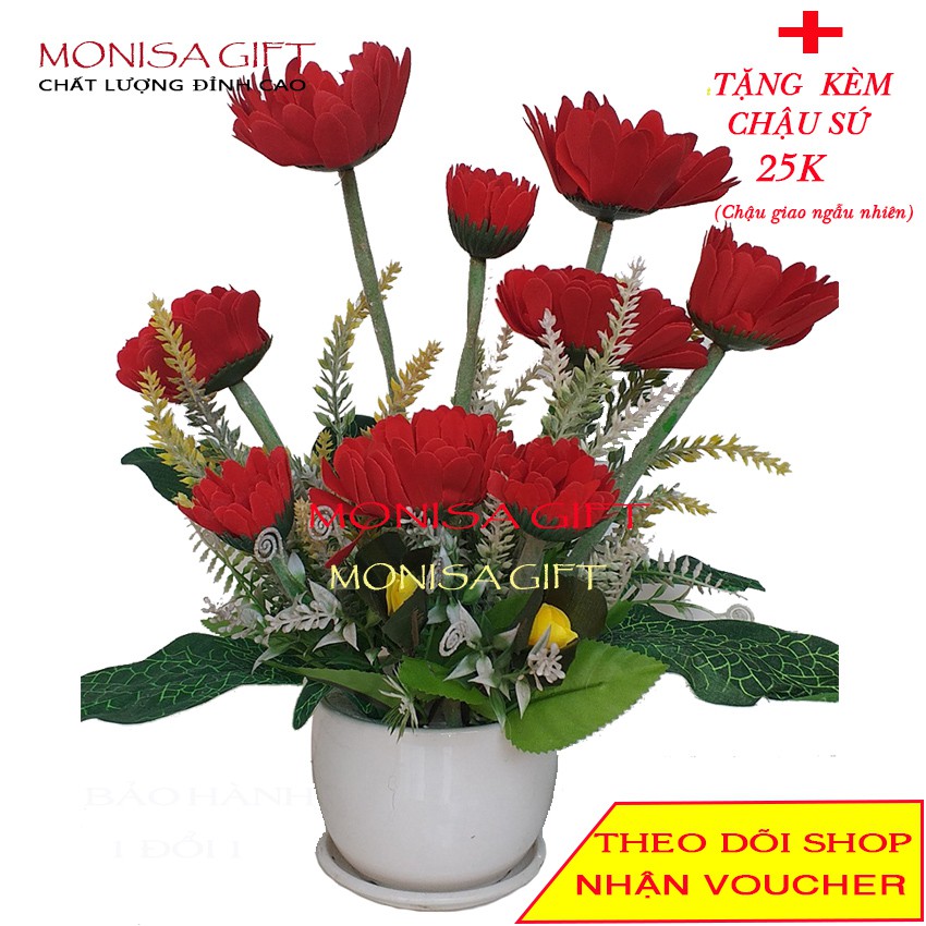 [RẺ VÔ ĐỊCH] Chậu Hoa Đồng Tiền Lụa Cao Cấp Monisa Gift {TẶNG Chậu Sứ 25K}- Hoa Giả Đẹp