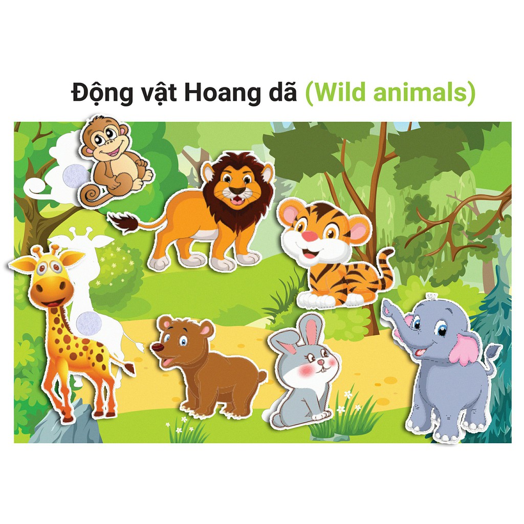 Bộ động vật học F14 - Học liệu dính dán montessori - Matching Book [Monsi Edu]