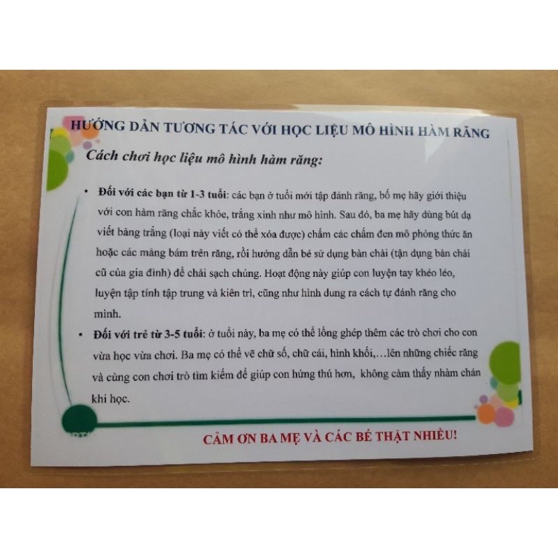 Học liệu mô hình hàm răng cho bé tập học đánh răng