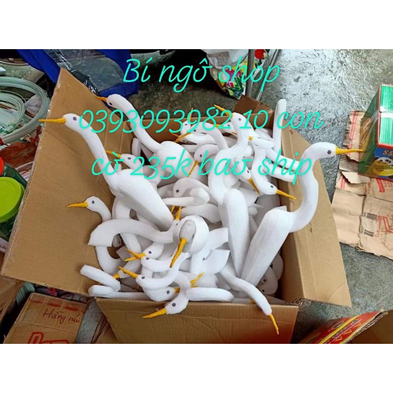 5 con cò xốp đệm dẻo