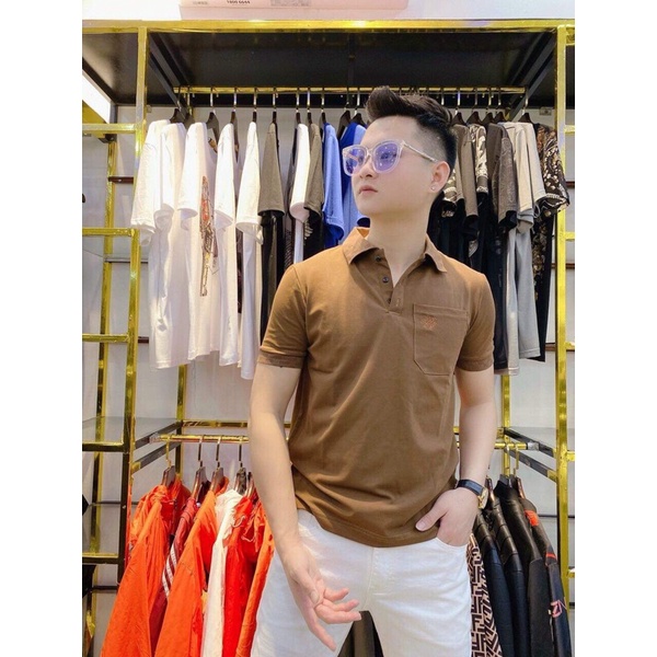 Áo polo nam , Áo cộc tay có cổ thời trang hè btshop 45 đến 75 kg