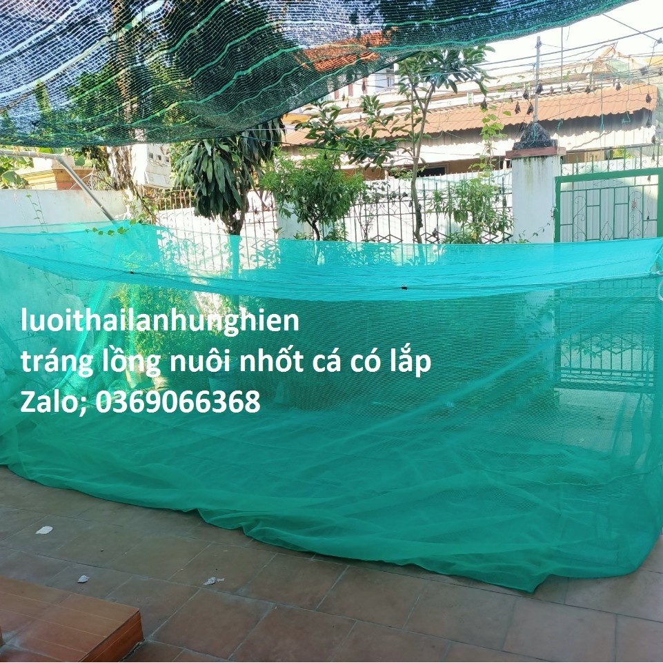 Lồng Nuôi cá ốc, Ếch, 10 x 4 x 1 có lắp che chắn tráng nuôi Cá ốc ếch Từ Nhỏ Tới To, Lưới Thái Lan sản phẩm tốt 121