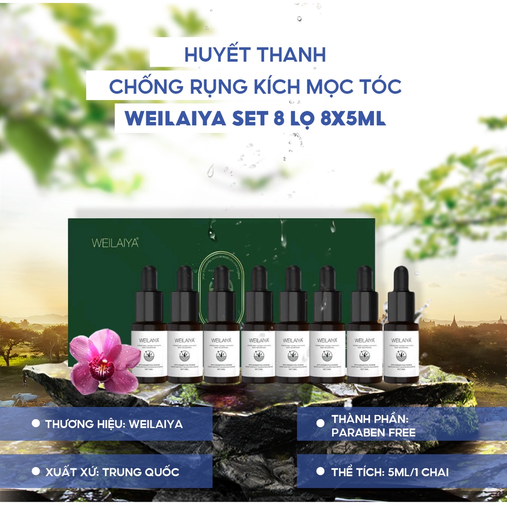 Huyết thanh WEILAIYA GINGER HAIR ROOT NOURISHING ESSENCE chống rụng kích mọc tóc set 8 lọ x 5ml