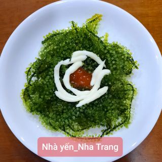 Rong nho tách nước [GIÁ TỐT NHẤTKÈM NƯỚC SỐT MÈ RANG] siêu thực phẩm hỗ trợ chữa trị bệnh tim mạch, tiểu đường, ung thư.