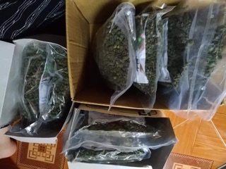 Nụ hoa tam thất 100gr