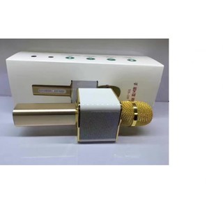 Micro karaoke kèm loa Ys 11