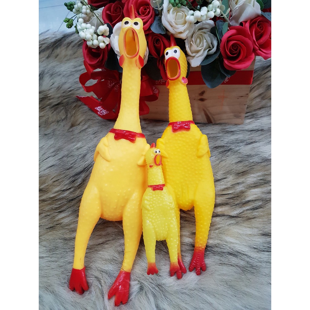 Gà chíp phát ra tiếng kêu