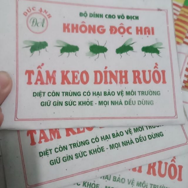 Tấm keo dính ruồi đức anh