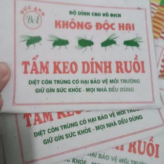 Tấm keo dính ruồi đức anh