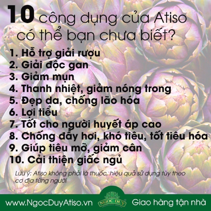Trà Atiso túi lọc Ngọc Duy loại đặc biệt 100goi x2g