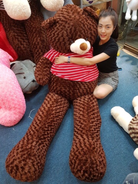 Gấu teddy 2m2