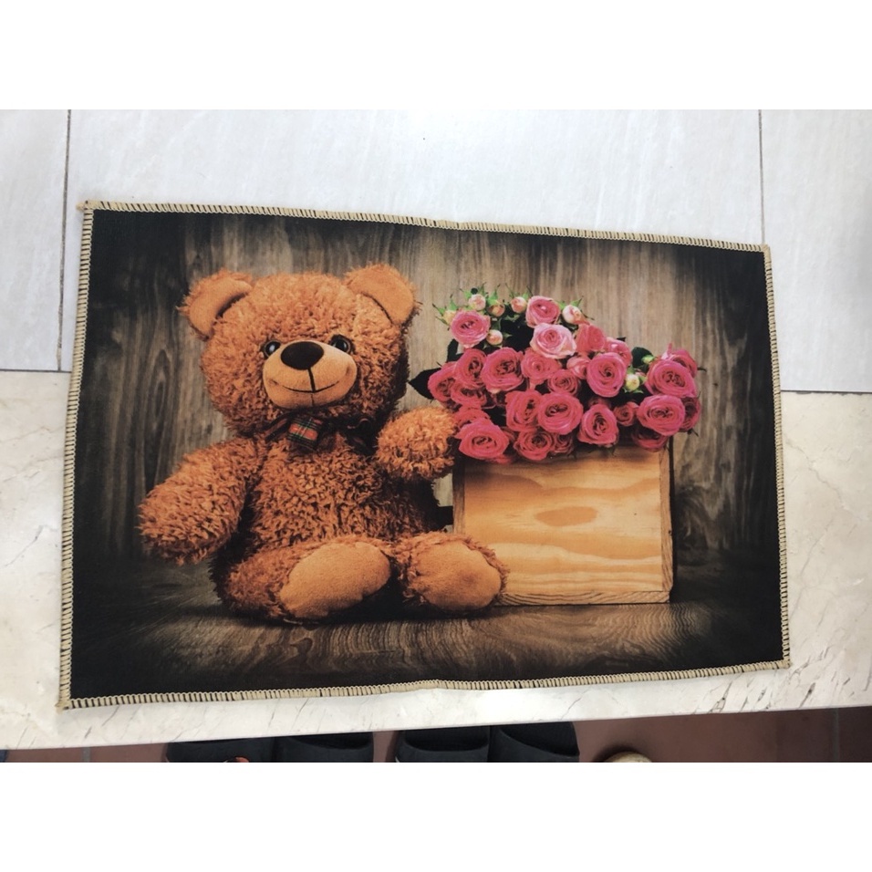 Thảm lau chân 3D kích thước 40 x 60cm