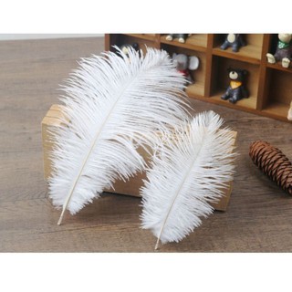 phụ kiện chụp ảnh lông vũ