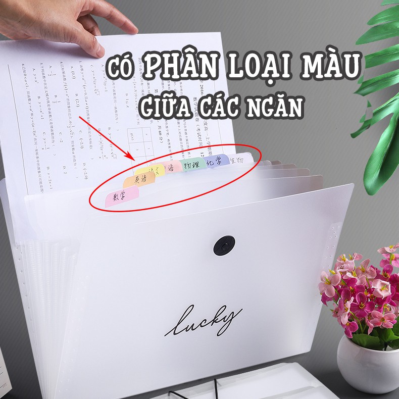 Túi đựng tài liệu khổ A4 Bìa Hồ Sơ A4 Nút Khóa Gài 5/8/12 Ngăn File Tài Liệu Tiện Lợi [Phân Loại Ngăn Theo Màu]