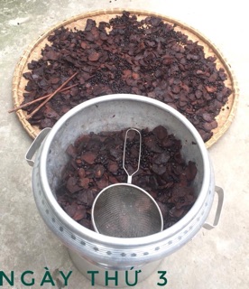 HÀ THỦ Ô ĐỎ CHẾ ĐỖ ĐEN