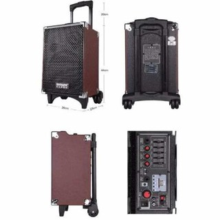 Loa Di Động temiesheng Q8s