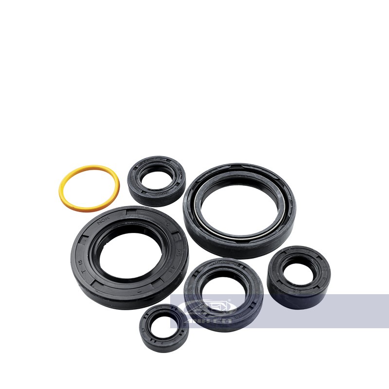 Phốt máy RGV (CYT) RGV120-0874