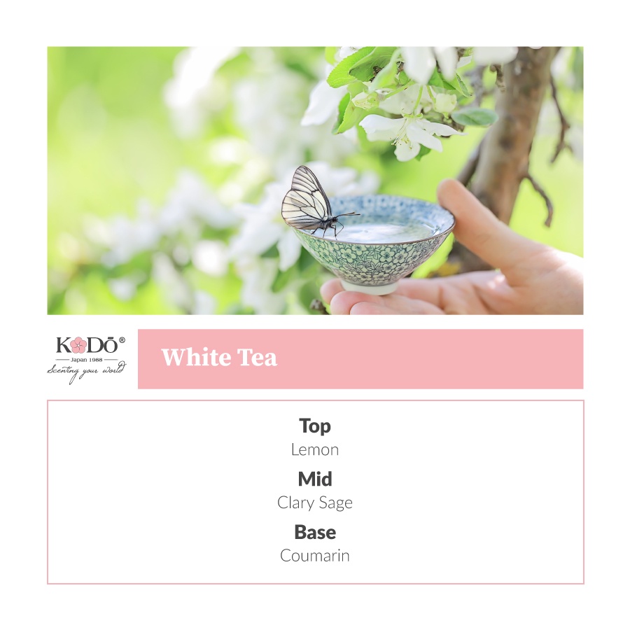 Tinh Dầu Nước Hoa Nhập Khẩu Thơm Phòng Kodo White Tea - Nguyên Chất - 3 Tầng Hương Thơm Độc Đáo - 10ml