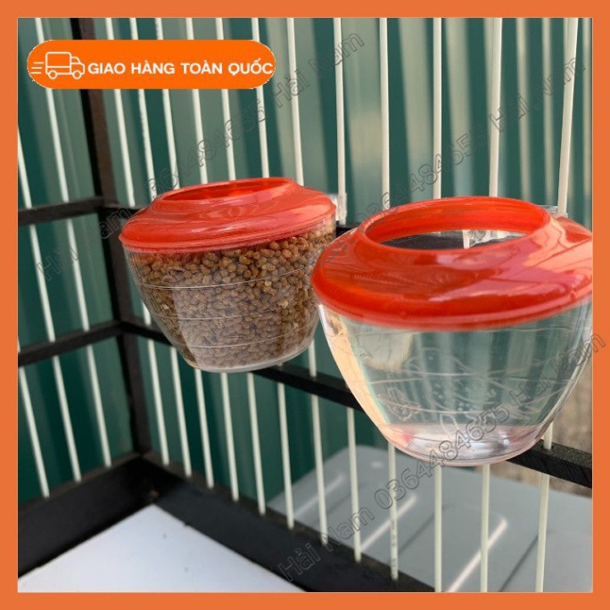 Cóng ăn cho chim , cóng chim chào mào