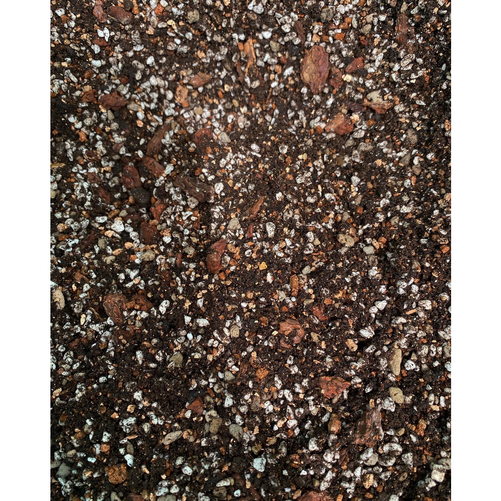 Vỏ thông trồng lan, kiểng lá ABE Bark, hàng nhập khẩu nhiều kích cỡ
