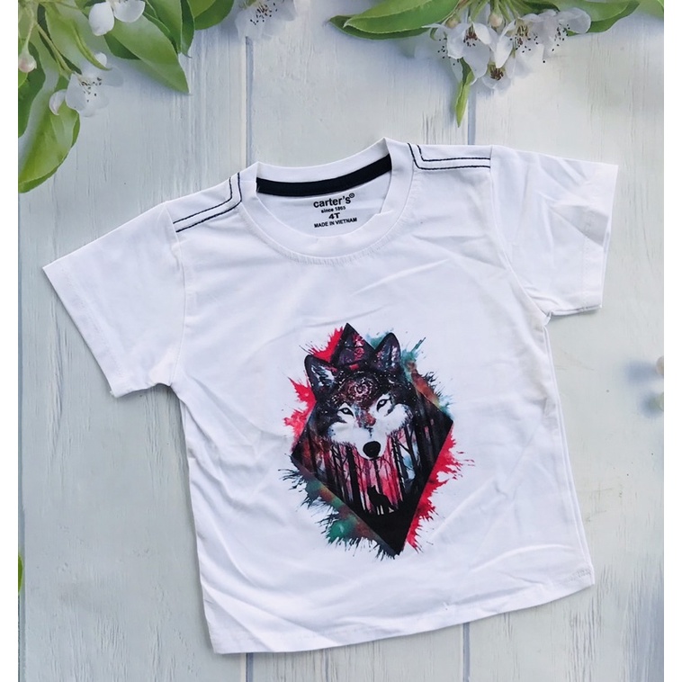 🚗 Áo cotton hàng shop bé trai từ 7-30kg