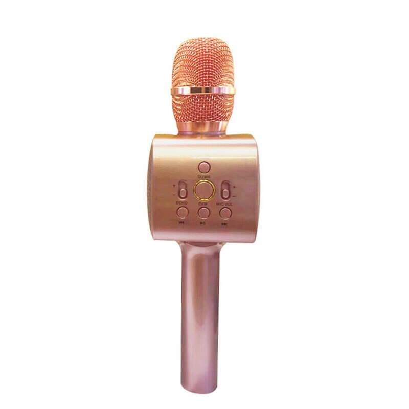 Micro Karaoke Cầm Tay Kèm Loa L668