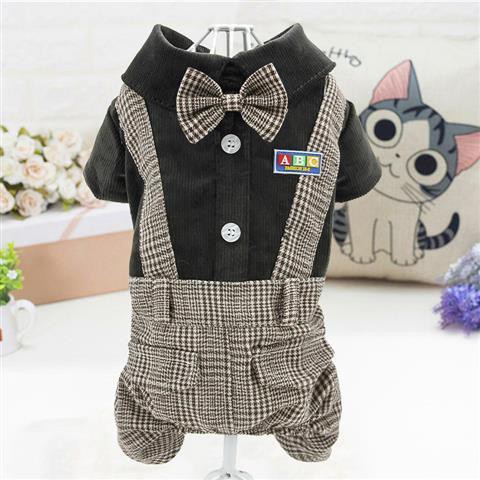 quần áo cho chó cưng mùa xuân, hè và thu Phong cách quý ông Anh địu bốn chân cổ Teddy con