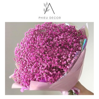 🌸Hoa Baby Khô Decor, Chụp ảnh siêu xinh