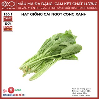 Hạt Giống Cải Ngọt Cọng Xanh Ai ( Cải ngọt, cải thìa) (20gr) - Thân lá màu xanh ăn có vị mềm ít sơ