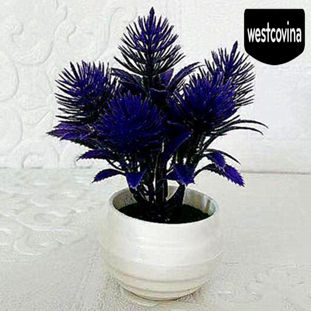 [Hot]☀ Chậu Cây Bonsai Bằng Nhựa Không Phai Màu Dùng Trang Trí