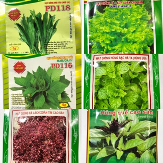 COMBO-6 GIỐNG RAU GIA VỊ TRUYỀN THỐNG VIỆT