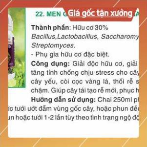 MEN GỐC NO4 250ML - CHUYÊN GIA GIẢI ĐỘC CHO CÂY TRỒNG BỊ NGỘ ĐỘC PHÂN BÓN, NGỘ ĐỘC THUỐC BVTV,...