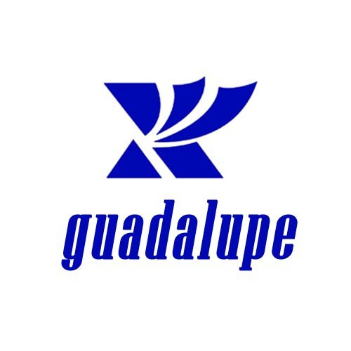 guadalupe.vn