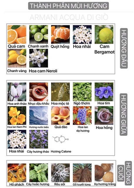 Nước Hoa Nam Acqua Di Giò Giorgio Armani ❄️ Mini 10ml Dạng Lăn Dạng Xịt-Dầu Thơm Bỏ Túi Tiện Dụng-LaBeaw | BigBuy360 - bigbuy360.vn