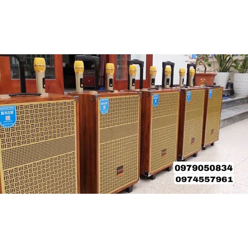 Loa kéo karaoke bluetooth BNIB M10A mini Loa kẹo kéo di động thùng gỗ tiện lợi .