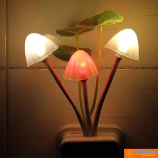 Đèn ngủ cảm ứng ánh sáng hình nấm tự tắt bật khi trời tối