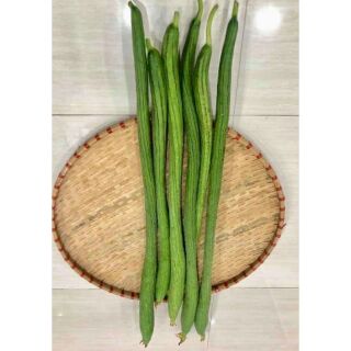 HẠT GIỐNG MƯỚP HƯƠNG SIÊU DÀI - 2M