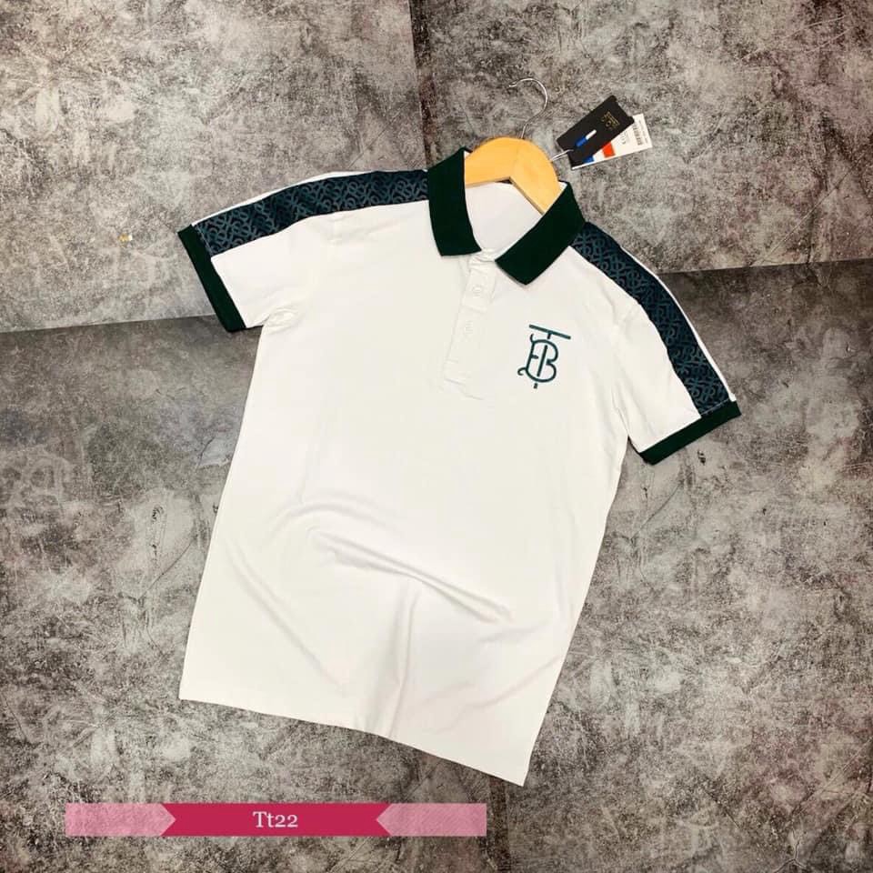 [Tuyệt Phẩm] Áo thun nam polo viền xanh, thêu TB cực đẹp, thoáng mát, hàng có BIGSIZE . | BigBuy360 - bigbuy360.vn