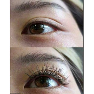 Dài mi Maroc, rậm lông mày, Mascara Dài mi Maroc, Dưỡng dài mi, Mọc lông mày mới.