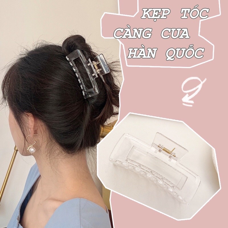 Bán Sỉ 1 Lố 12 Chiếc Kẹp Càng Cua Nhựa Vuông Phong Cách Hàn Quốc