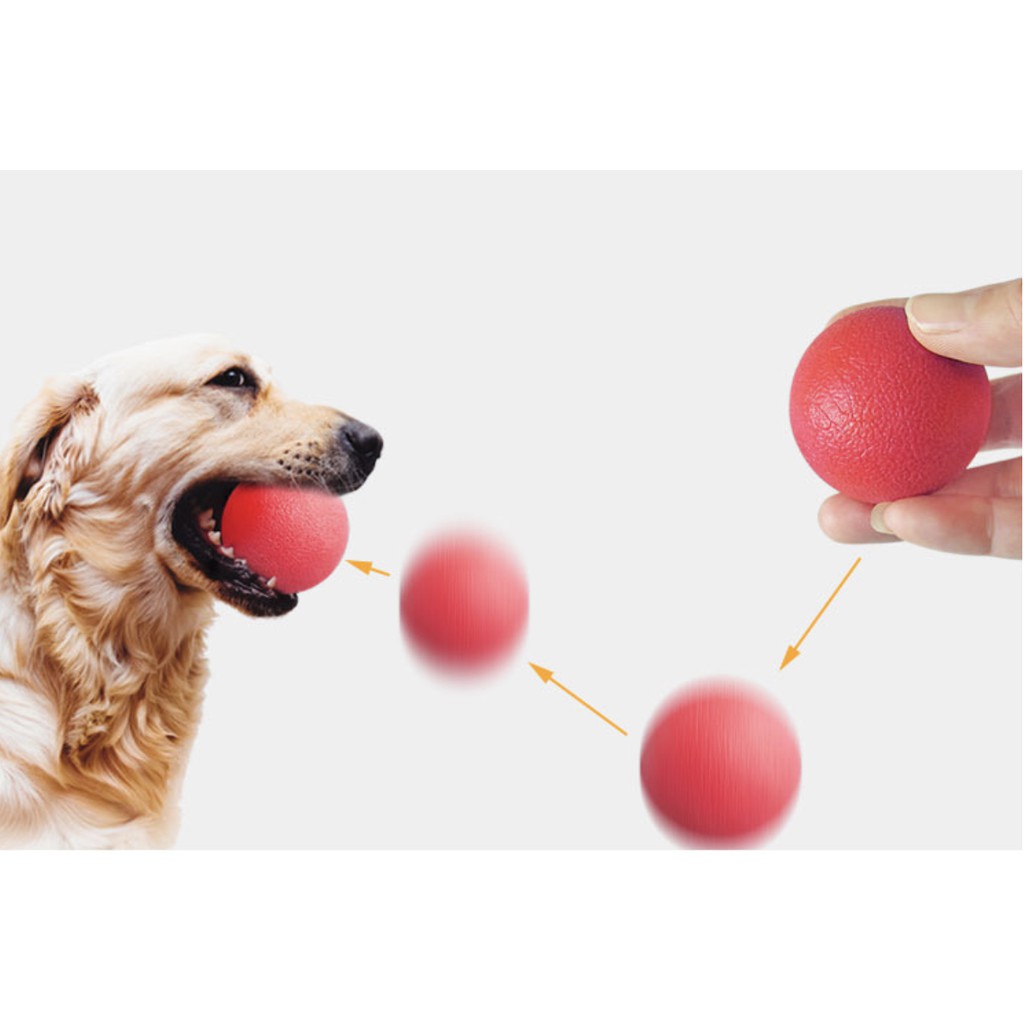 [Mã 267FMCGSALE giảm 8% đơn 500K] Bóng đồ chơi cho chó, bóng đồ chơi cao su huấn luyện cho chó