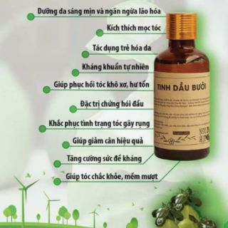 TINH DẦU BƯỞI TRẦN MAO