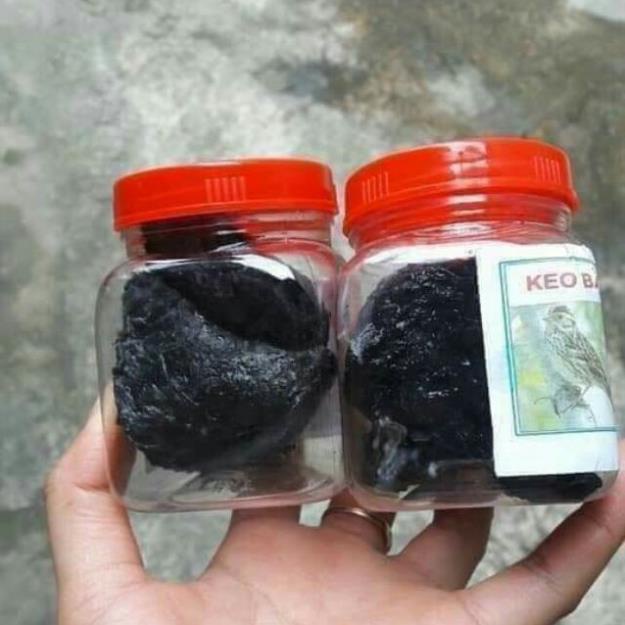 Com bo 2 nọ keo bẫy chim siêu dính