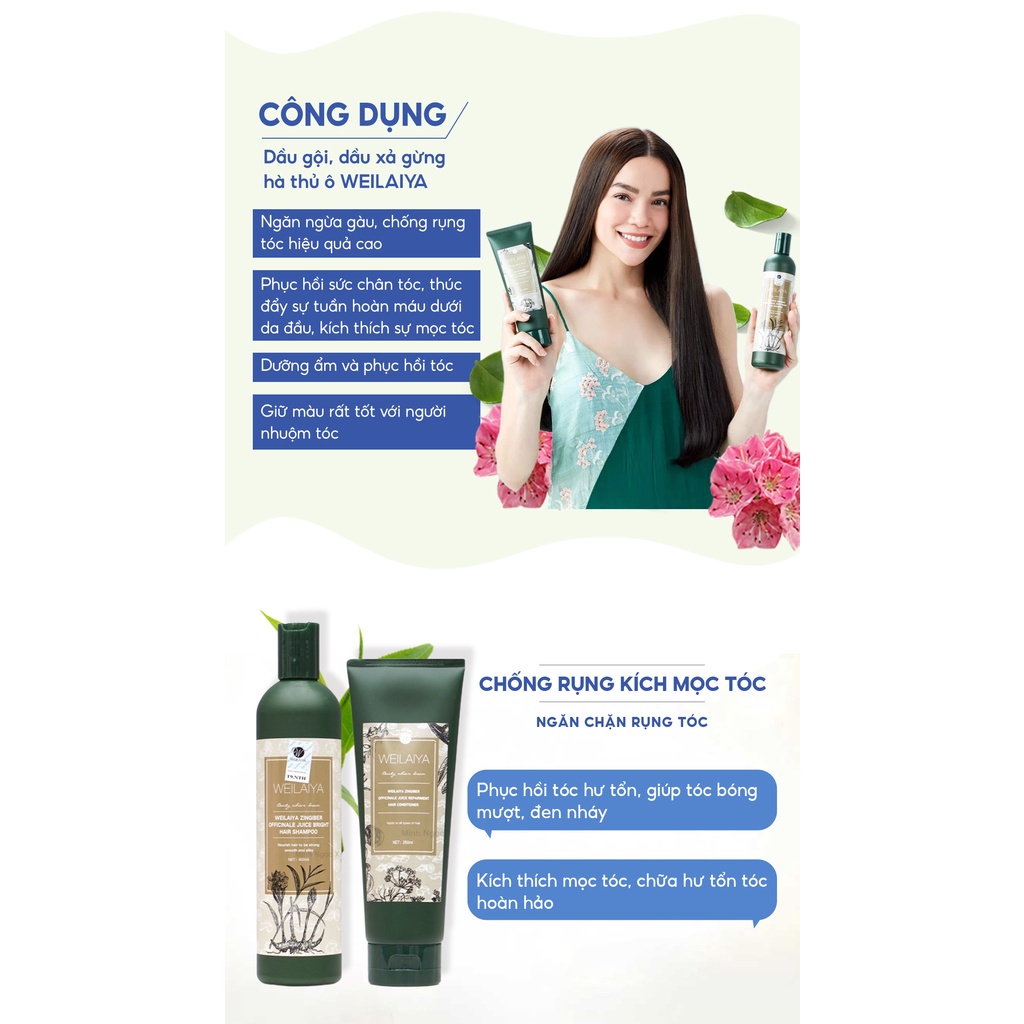 Combo dầu gội xả gừng hà thủ ô WEILAIYA ZINGIBER OFFICINALE JUICE chống rụng kích mọc tóc 400ml + 250ml tặng set mini